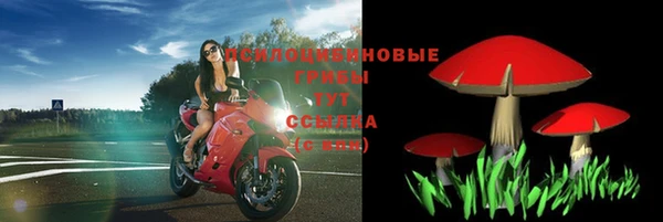 прущие крисы Михайловка