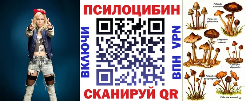 Псилоцибиновые грибы ЛСД Петровск-Забайкальский